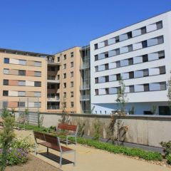 Seestadt 06